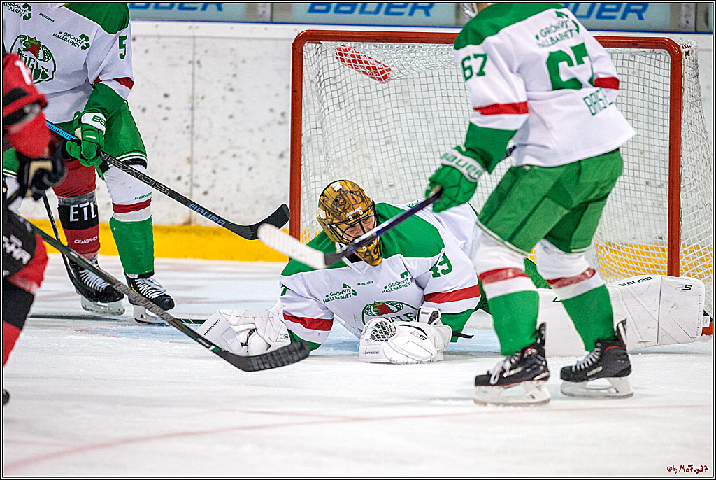 Der Koeln Cup 2018 Koelner Haie - Roegle BK, 19.08.2018